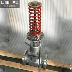 自力式压力香蕉视频官网：科技引领，压力控制新篇章