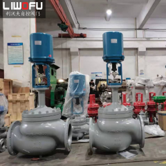 高温电动香蕉视频官网使用注意事项有哪些？